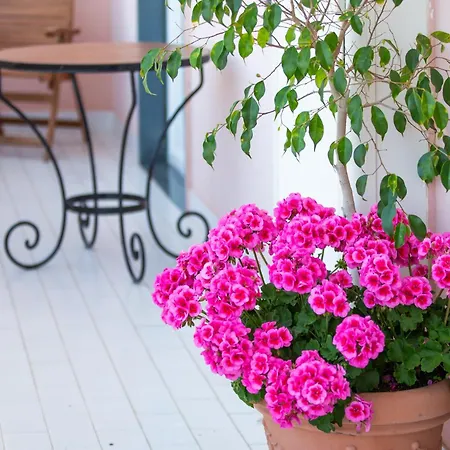 Appartamento Tra Il Vesuvio E Il Mare Torre del Greco